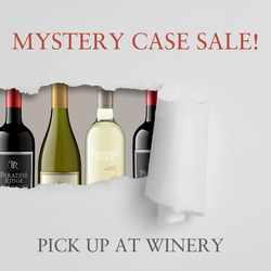 Mystery Case Carry Out