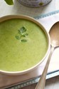 Creamy Green Garlic Soup